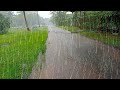 Walking In Rain in Kerala, Umbrella And Nature Sound For Relaxing 4k ASMR(5)