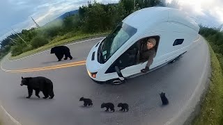 Driving 2,745 miles to ALASKA! | Bears, Salmon, Camping, Glaciers | Van Life Road Trip by Traveler's Tale 30,739 views 8 months ago 20 minutes