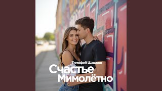 Счастье мимолётно - Тимофей Шашков