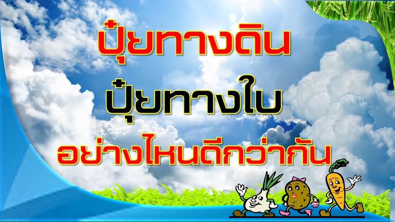 ปุ๋ยทางดินและปุ๋ยทางใบอย่างไหนดีกว่ากัน?(จริงรึเปล่า)