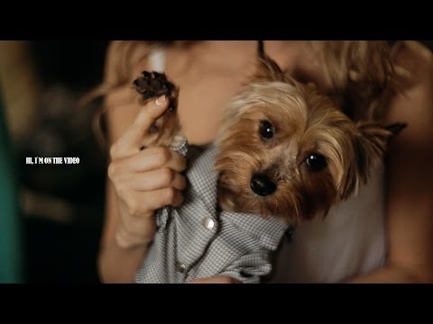 Teaser 17 may