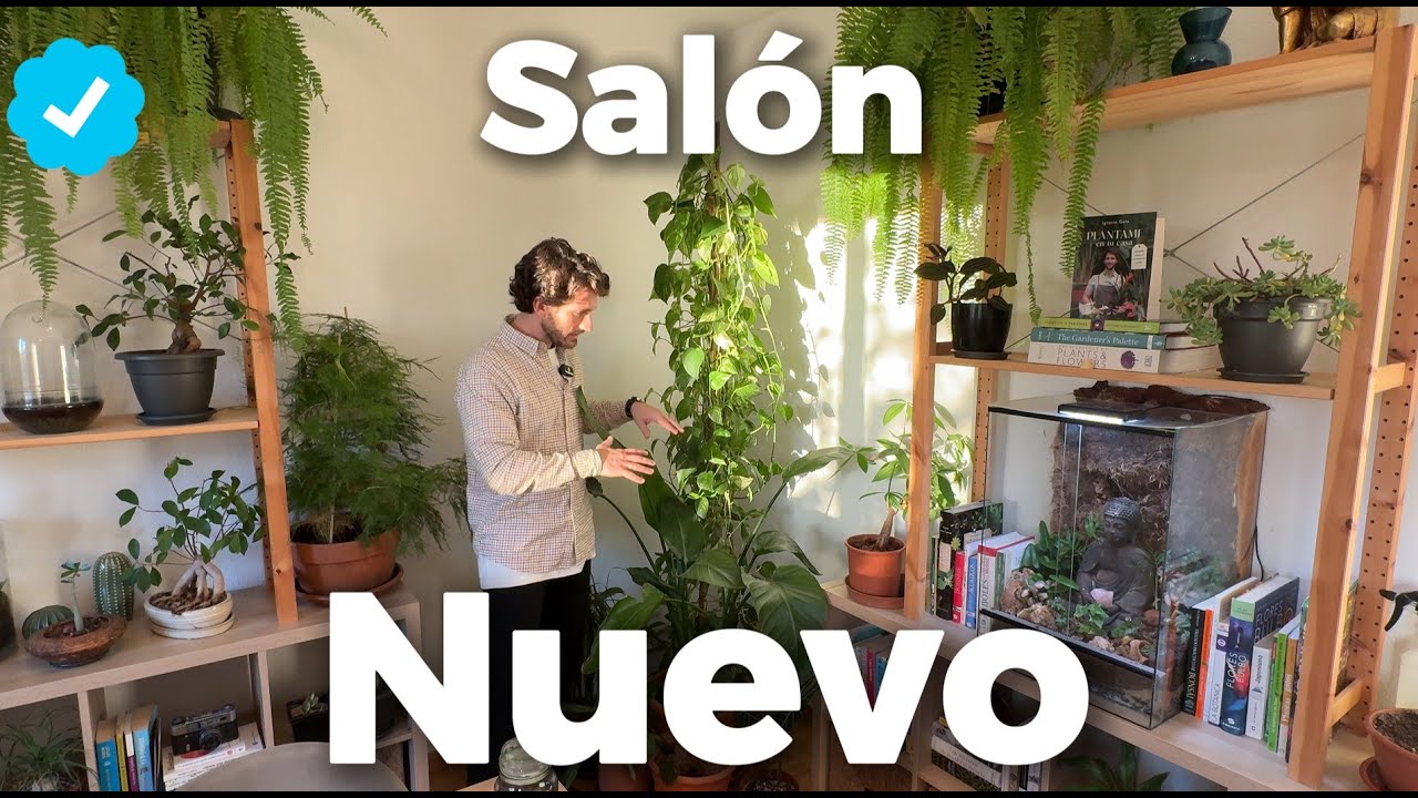 TOUR de Plantas de Interior 😁
