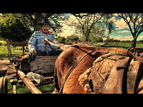 Dos GAUCHOS reales SOLOS y ESCONDIDOS en el MONTE | Viven a la ANTIGUA y hacen sus mandados en SULKI