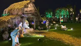 Mesa Temple Lights 2022 Nativity