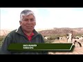 Producción de Camélidos y manejo sostenible de recursos naturales en San Pedro de Totora