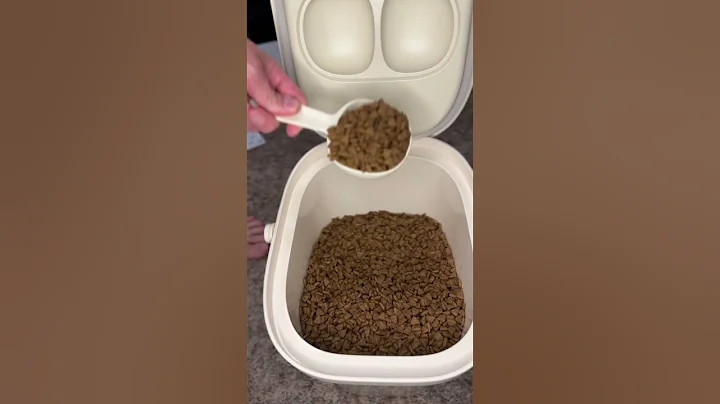 Video 5389101: sphynx pets, pet food, petted enjoying