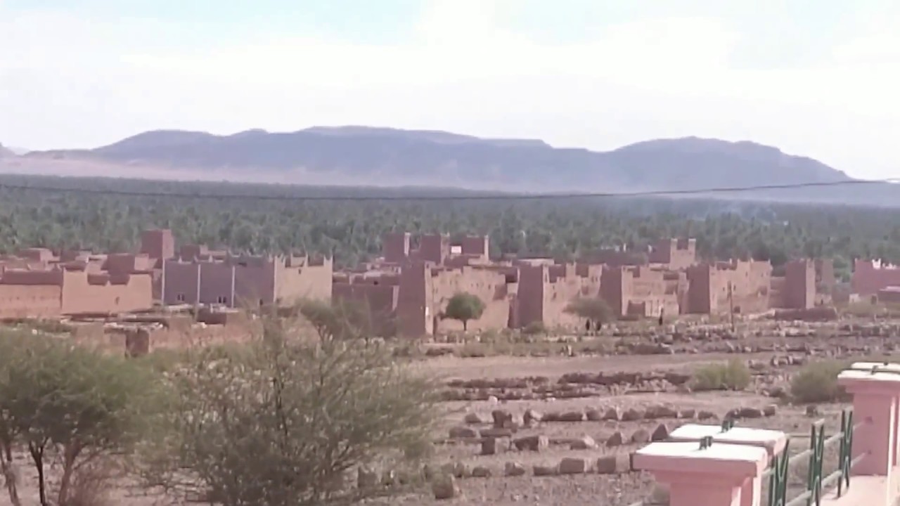 واحة وادي درعة بزاكورة اكبر واحة في المغرب