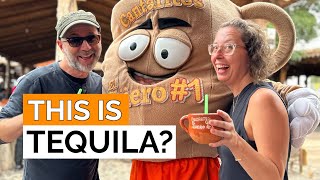 One fantastic DAY in TEQUILA, Mexico! | Cantaritos El Güero | What to expect on a day-trip