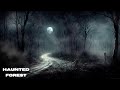 Haunted forest  werewolves ghosts horror sounds  halloween ambience