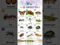 🐞 Names of Insects with Pictures | Learn Insect Names for Kids | Educational Video #Short #english