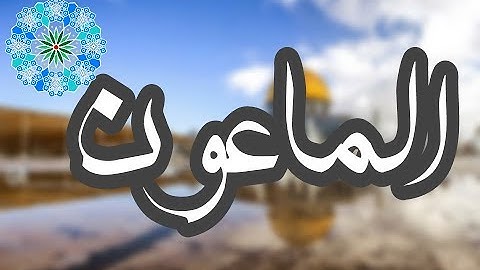 سورة الماعون - الشيخ معاذ فلاتة