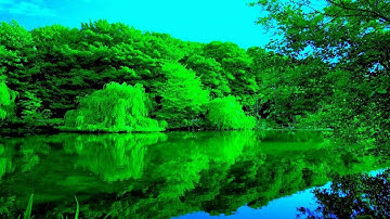 زاد الإمام ( 4 ) سورة القصص - الآيات (76 - 83) .. أحمد بن خليفة السيابي