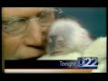 Late show david letterman 2001 animal montage promo commercial tv vhs viral animals animal dog