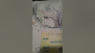 Rev1ew, urban c0ntin