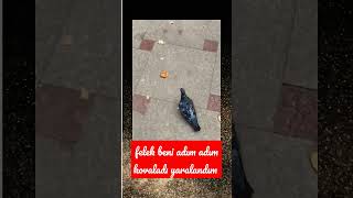 Felek Beni Adım Adım Kovaladı Yaralandım
