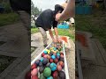 Marble Run ASMR: Collecting and Rolling ① #marblerun