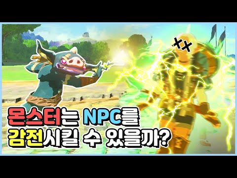 몬스터에게 일렉트로 로드를 주면 npc를 감전시킬 수 있을까? [젤다의전설:야생의숨결]