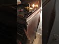 IMG 3880