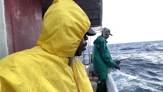 Brighter Days Ahead On Pedro Bank ( S3 episode 4)