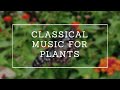 Classical Music for Plants