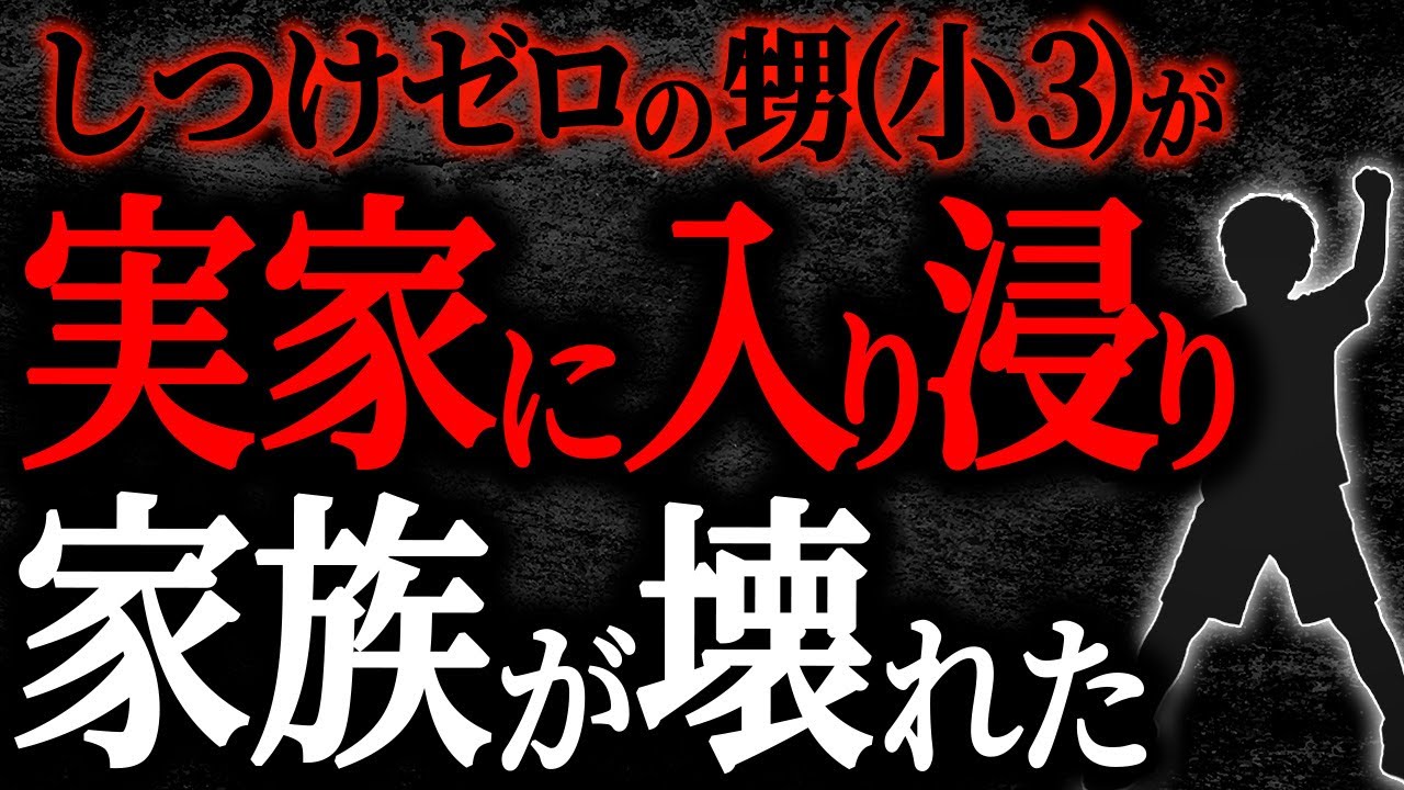 【2chヒトコワ】しつけゼロの甥(小3)が実家に入り浸り家族が壊れた【人怖】