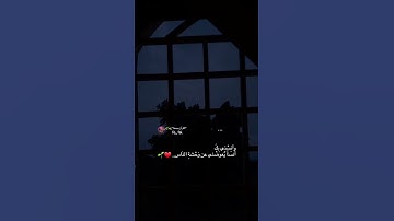 قرآن كريم بصوت الشيخ اسلام صبحي حالات واتس اب راحه وهدوء وانستقرام 🫀🌿