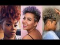 Tapered Cut On Natural Hair Compilation videos | Shaved Hairstyles For Black Women With 4c, 4b Hair
