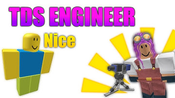 TDS Engineer in a nutshell (TDS Meme)