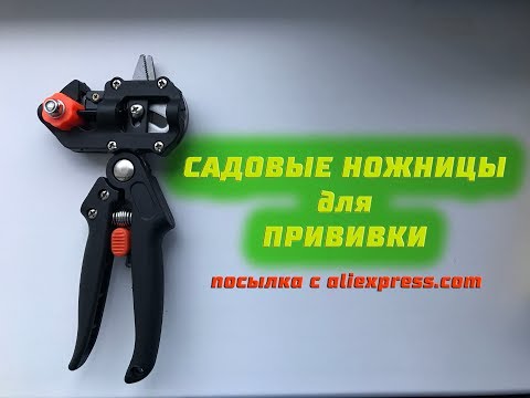 Видео: Садовые ножницы для прививки из Китая.