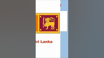 “Flag Quiz Challenge – How Many Can You Guess? #shorts”