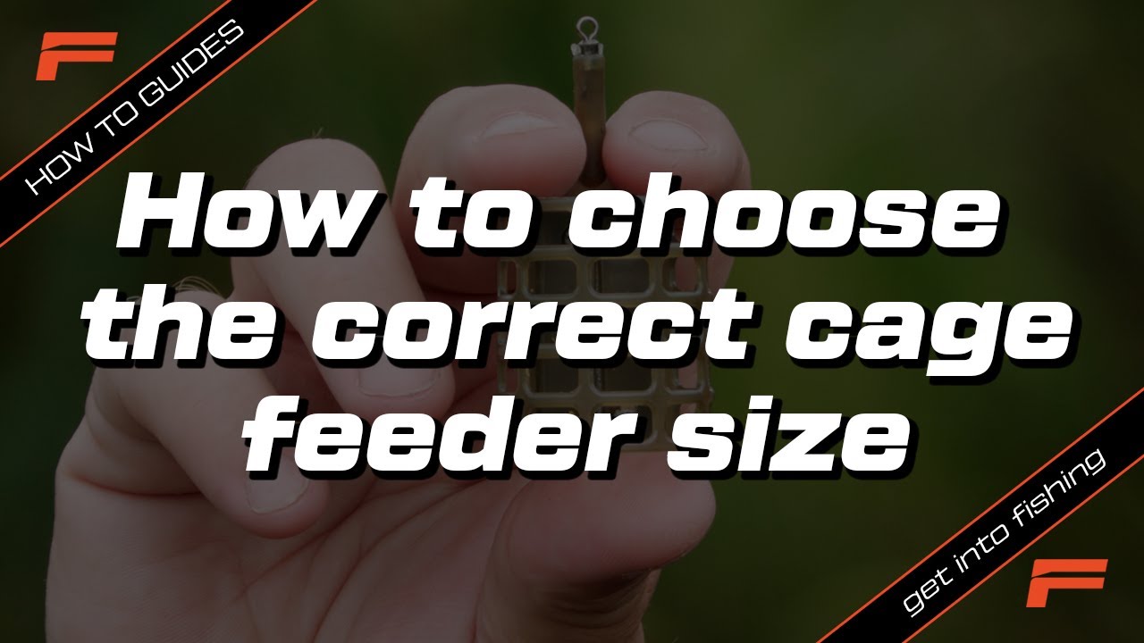 How to choose the correct cage feeder size?, Fishing Basics