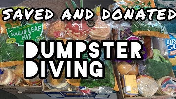 DUMPSTER DIVING AUSTRALIA | SAVING GOOD FOOD FROM THE LANDFILL  | BIN LIVING WITH BIG B