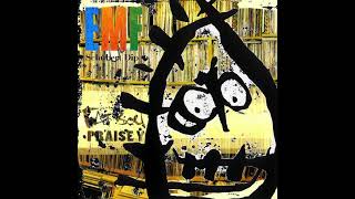 Mata Hari - Prunbelievable (EMF vs. Fatboy Slim)