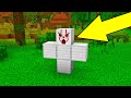 TOLONG JANGAN SPAWN INI DI MINECRAFT!!!