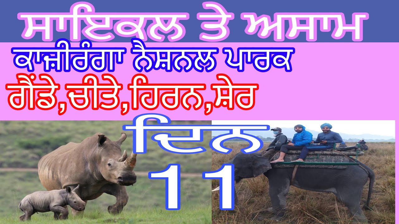 ਦਿਨ ਗਿਆਰਾਂ  ਸਾਇਕਲ ਤੇ ਅਸਾਮ ਕਾਜੀਰੰਗਾ ਨੈਸ਼ਨਲ ਪਾਰਕ ਦੀ ਸੈਰ