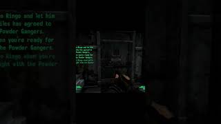 The Fallout New Vegas Experience