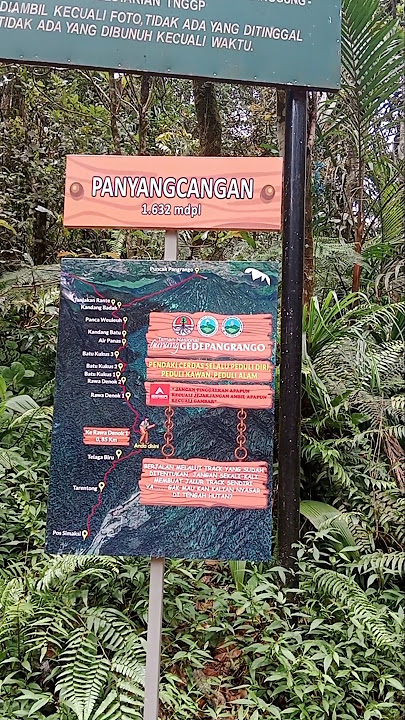 Panyangcangan 1632 mdpl Persimpangan Gunung Gede Pangrango dan Air Terjun Cibeureum. #hiking #viral
