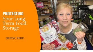 Pantry Building 101- Storage Solutions to Protect Your Pantry