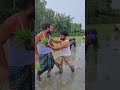 বোনদের মধ্যে তোর মতামত একটাও আছে #fouryourpag #foryou #trending #trend #funnyvideo