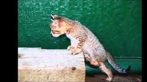 The art of asking questions (by Garrett Haley)