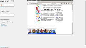 10 Minutes of OldWeb Browsing #1