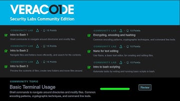 Basic Terminal Usage - Veracode Security Labs Community Edition (free)