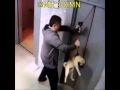 ما قصرت والله ما قصرت والله