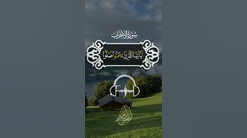 إن الله وملائكته يصلون على النبي ❤️|القارئ أنس أحمد