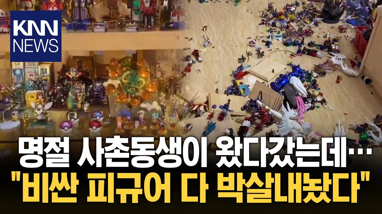 명절날 사촌동생 왔다갔더니... 피규어 전부 박살 / KNN - YouTube