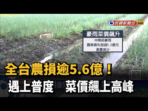 蔥飆漲近兩倍每公斤160元 菜價回穩等8月底－民視新聞
