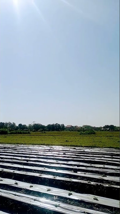 Segenap Do'aku