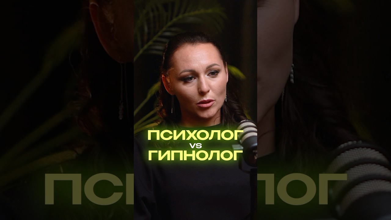 26 октября 2024 г.