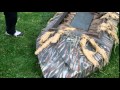 duck boat preparation duck boat preparation