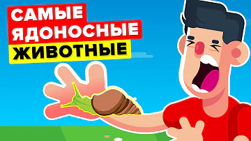 Самые ядоносные животные в мире, которых следует избегать!